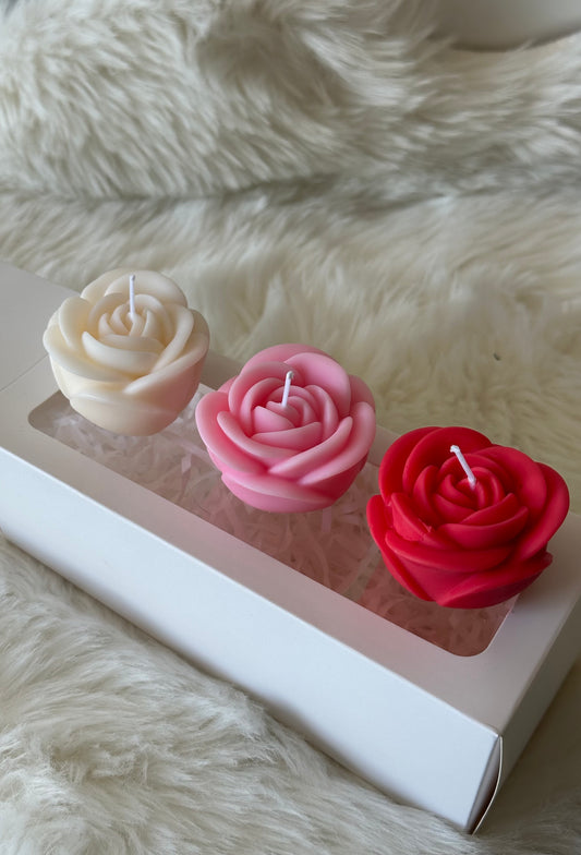 Écrin de roses tricolore